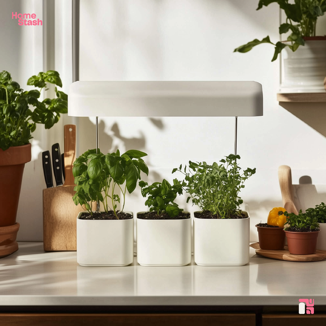 A mini indoor herb garden kit with four white pots containing fresh herbs like basil and parsley, placed on a bright kitchen countertop. An LED grow light is positioned above the pots, and the background includes kitchen tools and potted plants.